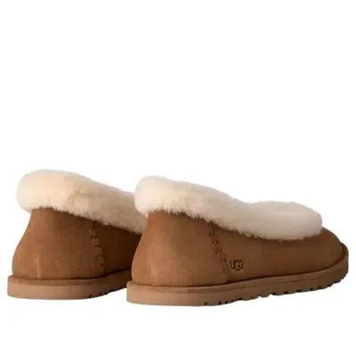 Ugg W Zora Ballet Flat Shoes In Brown