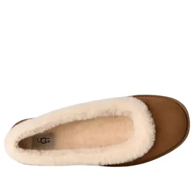 Ugg W Zora Ballet Flat Shoes In Brown