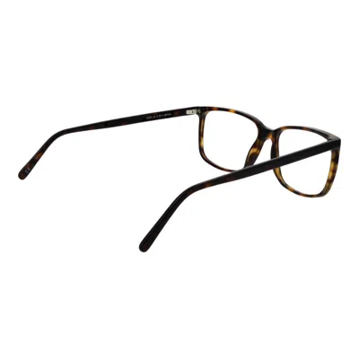 Andy Wolf Unisex Optical Frames In Brown