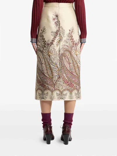 Etro Skirt In Brown