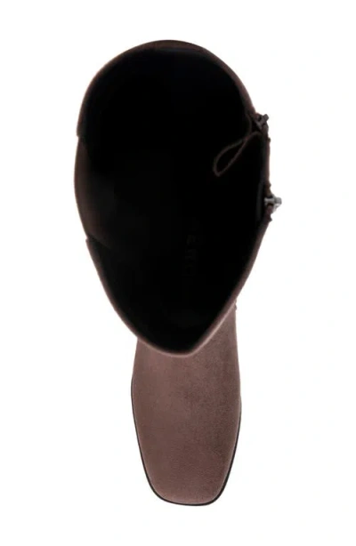 Aerosoles Daria Tall Boot In Brown