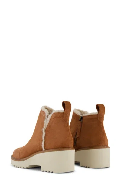 Toms Maude Wn Brn In Brown