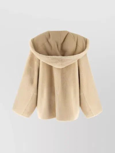 Alberta Ferretti Balenciaga Black-black-transparent Acetate Glasses In Brown