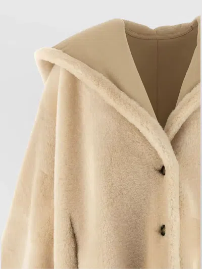 Alberta Ferretti Balenciaga Black-black-transparent Acetate Glasses In Brown