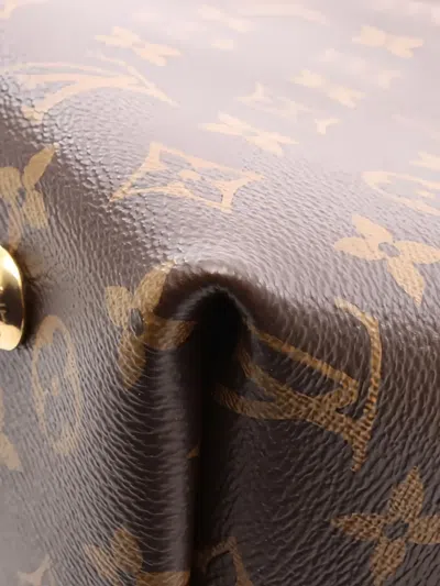 Pre-owned Louis Vuitton Carryall Nm Pm Shoulder Bag In Brown