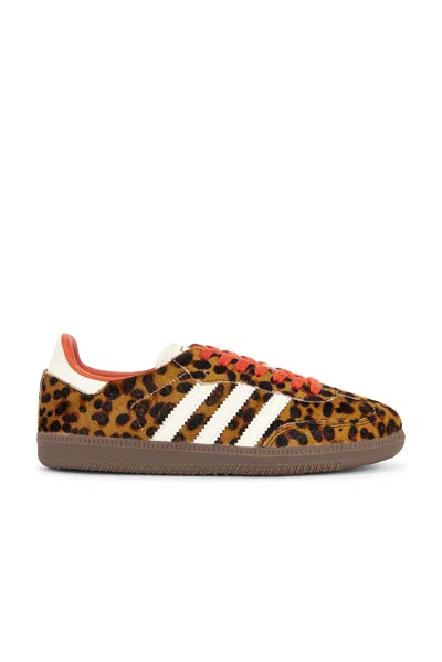 Adidas Originals Celine Low Lace-up Sneakers With Triomphe In Animal Print