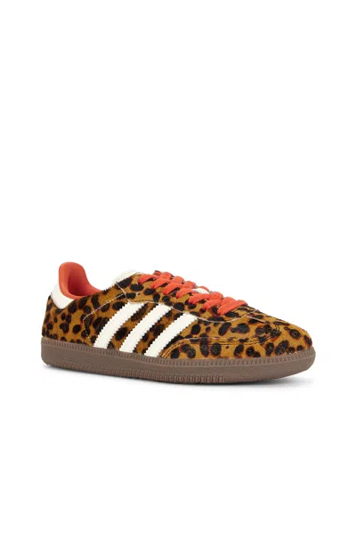 Adidas Originals Celine Low Lace-up Sneakers With Triomphe In Animal Print
