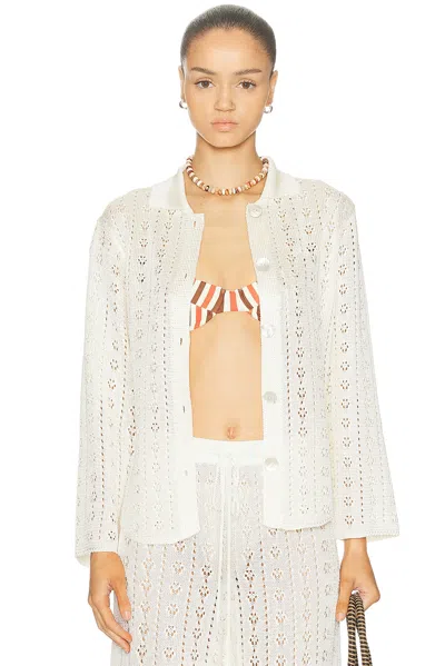 Calle Del Mar Tailored Eyelet Shirt In Animal Print