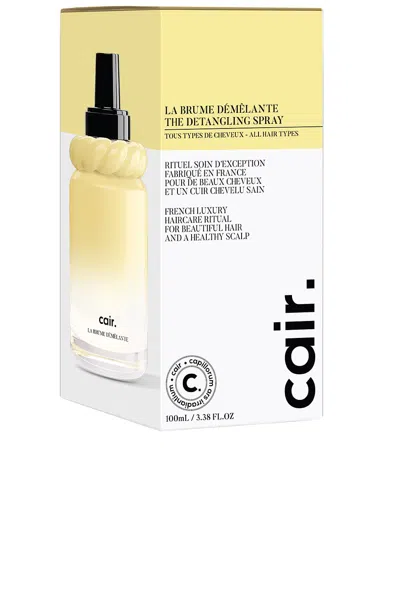 La Bonne Brosse The Detangling Spray In Yellow