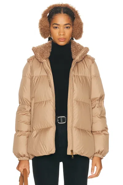 Moncler Beige Esnaie Teddy-trimmed Short Down Jacket In Neutral