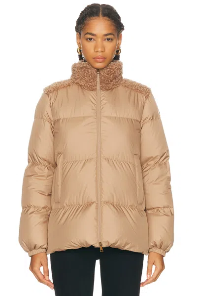Moncler Beige Esnaie Teddy-trimmed Short Down Jacket In Neutral