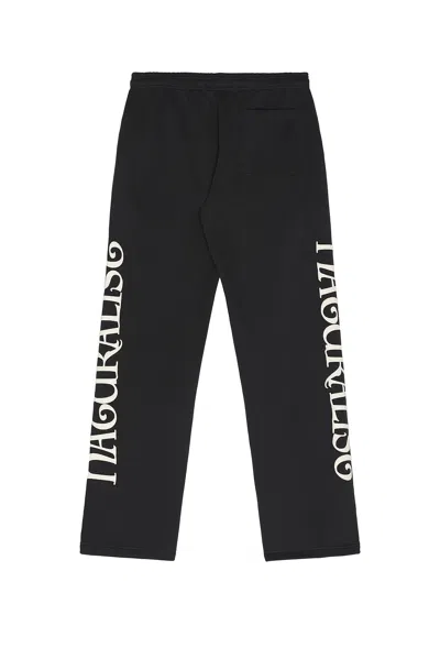 Museum Of Peace And Quiet Naturalist Sweatpants In Black