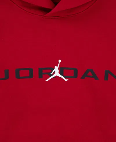 Jordan Boys 8-18 Baseline Pull On Long Sleeve Hoodie In Multi