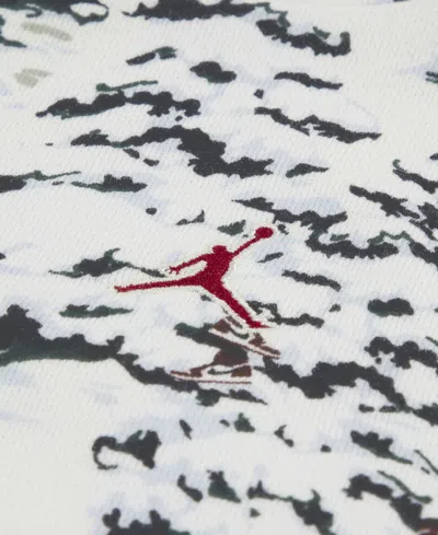 Jordan Boys Toddler 2t-4t 2-piece Printed Hoodie And Jogger Pants Set In Multi