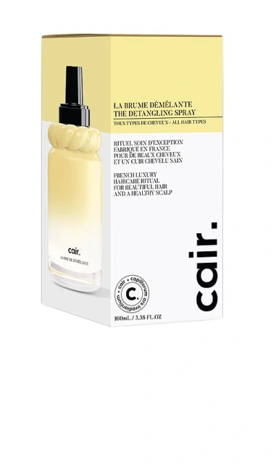 La Bonne Brosse The Detangling Spray In Yellow