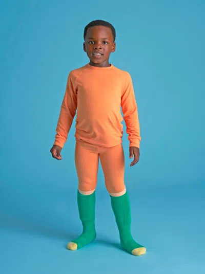 Roarsome Kids Ski Socks In Green