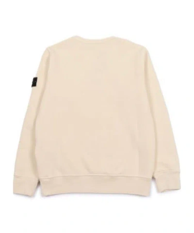 Stone Island Sweatshirt In Neutral
