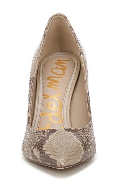 Sam Edelman Hazel Pointed Toe Pump In Brown