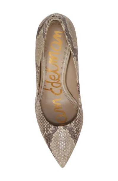 Sam Edelman Hazel Pointed Toe Pump In Brown