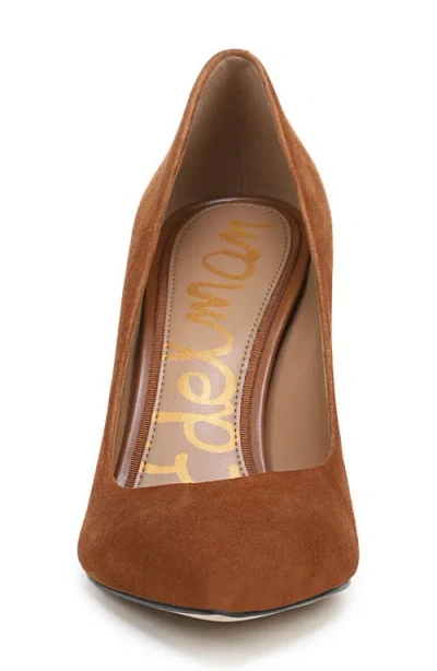 Sam Edelman Hazel Pointed Toe Pump In Brown