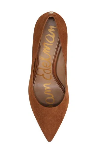 Sam Edelman Hazel Pointed Toe Pump In Brown