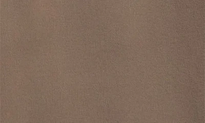 Arc'teryx Diode Mx Pants In Brown