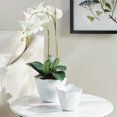 Napa Home & Garden Maribella Cachepot Planters Set Of 2 In White