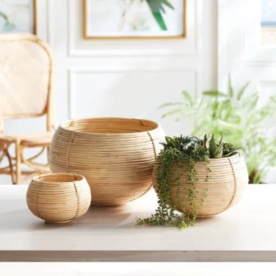 Napa Home & Garden Cane Rattan Plant Baskets Set Of 3 In Neutral