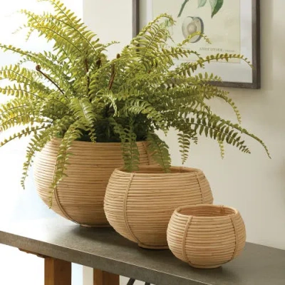 Napa Home & Garden Cane Rattan Plant Baskets Set Of 3 In Neutral