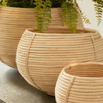 Napa Home & Garden Cane Rattan Plant Baskets Set Of 3 In Neutral