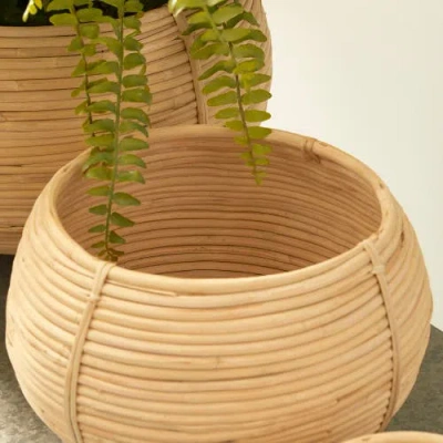 Napa Home & Garden Cane Rattan Plant Baskets Set Of 3 In Neutral