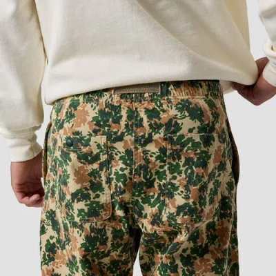 Backcountry Venture Daily Pant In Multi