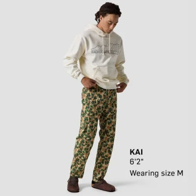 Backcountry Venture Daily Pant In Multi