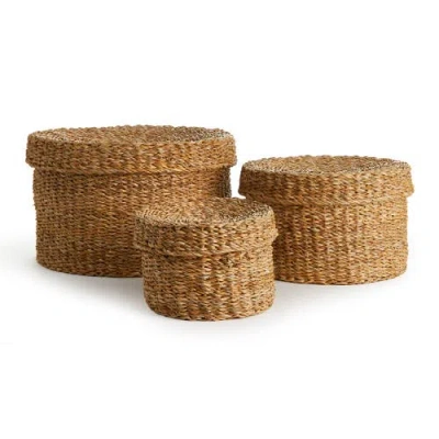 Napa Home & Garden Seagrass Round Lidded Baskets Set Of 3 In Brown