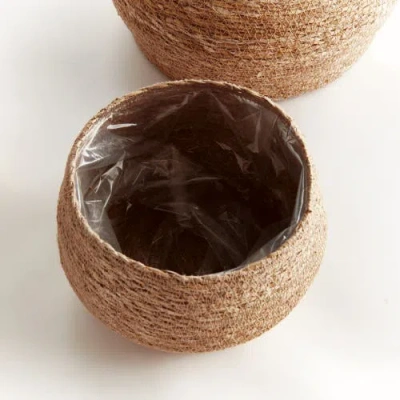 Napa Home & Garden Seagrass Round Tapered Baskets, Set Of 3 In Brown