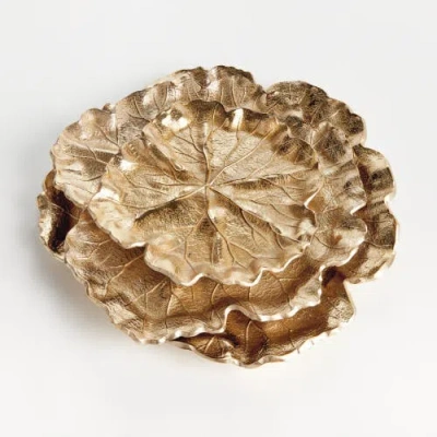 Napa Home & Garden Lirio Decorative Trays, Set Of 3 In Gold