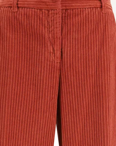 True Royal Nicky Trousers In Brown