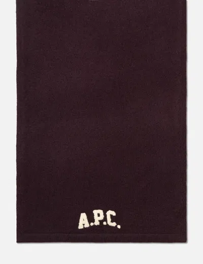 Apc Jesse Scarf In Purple