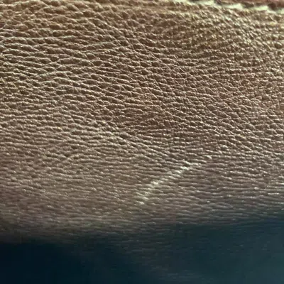 Pre-owned Chanel Women Pre-loved Bag Very Good Condition In Multi