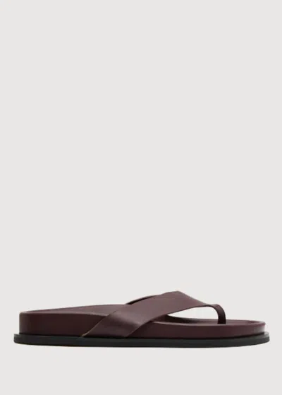 St Agni Women's Thong Slide In Bordeaux In Burgundy