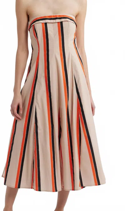 Du Paradis Amaranth Stripe Strapless Cotton Midi Dress In Multi