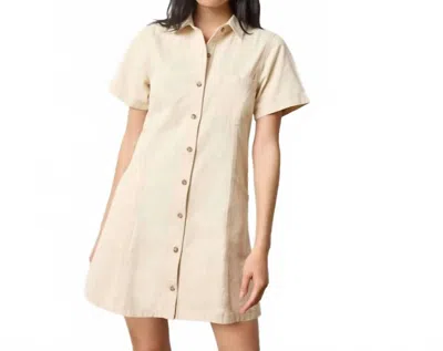 Lilla P Twill Paneled Mini Shirt Dress In Eggshell In White