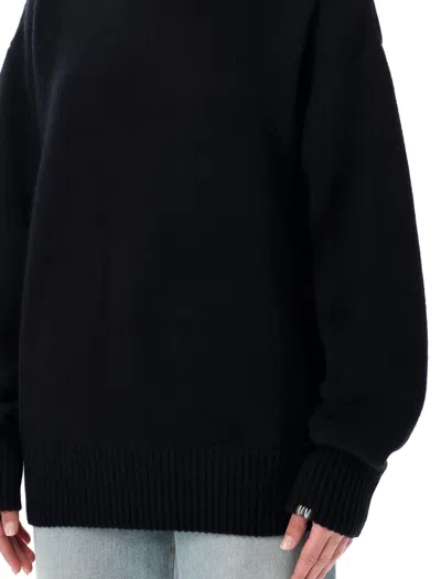 Extreme Cashmere Voluminous Oversized Garment In Black