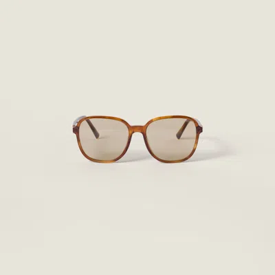 Miu Miu Miu Regard Sunglasses In Brown