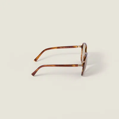 Miu Miu Miu Regard Sunglasses In Brown