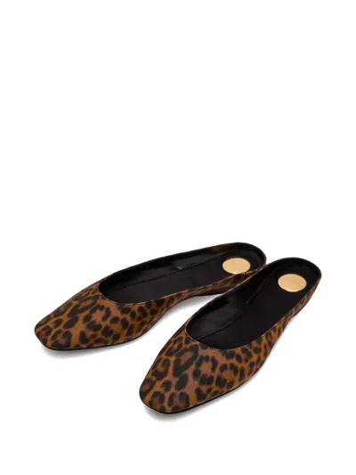 Saint Laurent Leopard Lido Ballerina In Brown