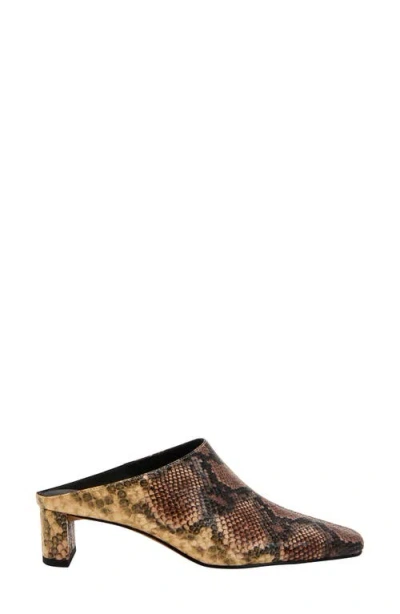 Katy Perry The Wanderering Mule In Animal Print