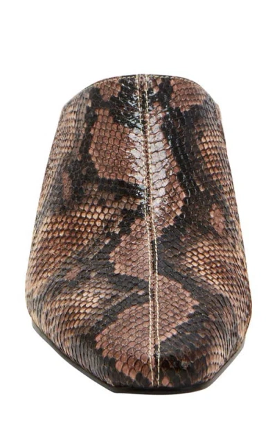 Katy Perry The Wanderering Mule In Animal Print