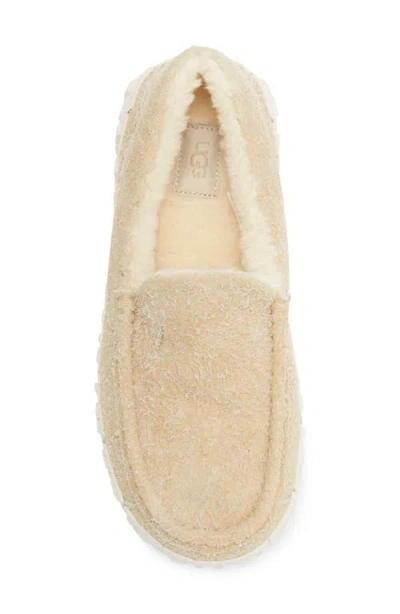 Ugg ® Ascot Wrap Tech Slipper In Neutral