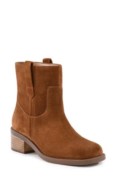 Seychelles Cozy Block Heel Bootie In Brown